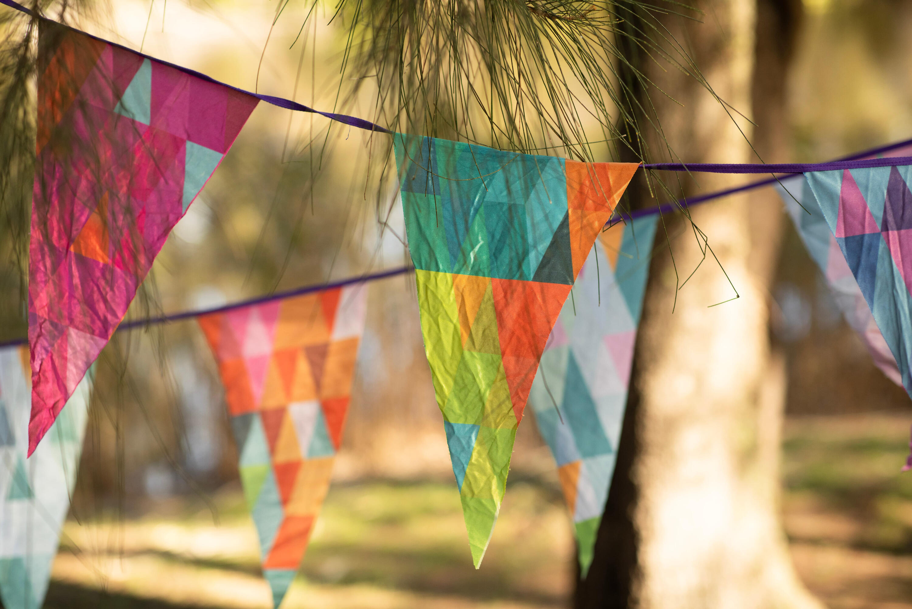 Prism pop prism pop bunting bright triangles